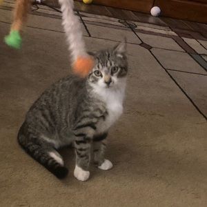 Meet your Posher, Riley